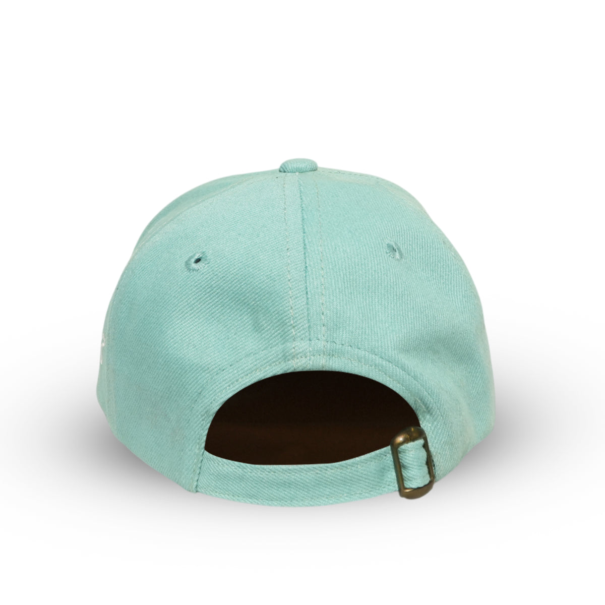 RR Classic 01 aqua blue adjustable baseball cap back view